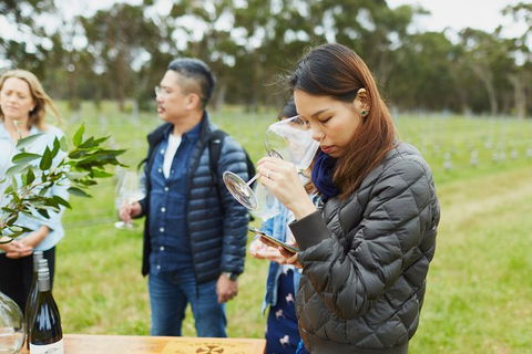 Organic Vineyard/Farm Tour - Tourism TAS 1