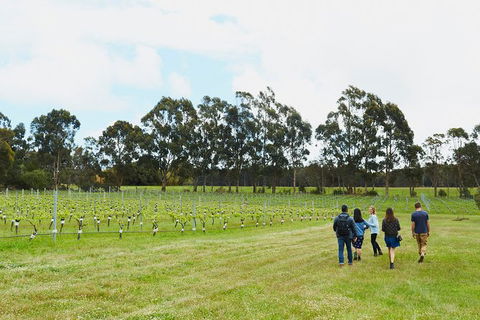 Organic Vineyard/Farm Tour - Tourism TAS 7