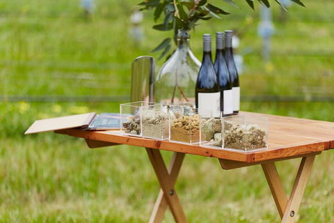 Organic Vineyard/Farm Tour - Tourism TAS 3