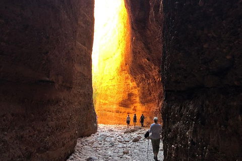 2 Nights At Bungles Wilderness Lodge - Explore The Northern & Southern Gorge - Hobart Tourism 8