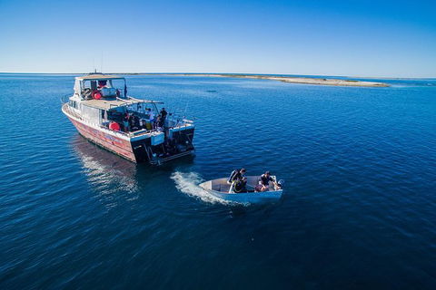 Abrolhos Islands 4 Day Fishing Charter - Tourism TAS 0