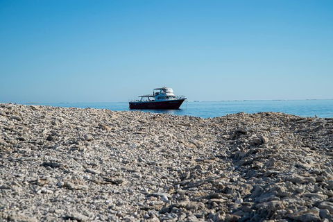 Abrolhos Islands 4 Day Fishing Charter - Tourism TAS 1