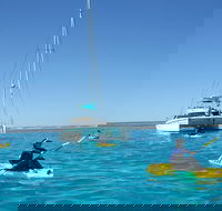5 Night Ningaloo Reef Ningaloo Escape from Coral Bay - Tourism TAS