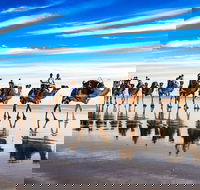 Broome Pre-sunset Camel Tour 30 minutes - Hobart Tourism