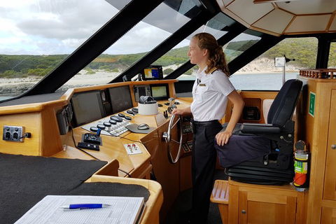 Full-Day Killer Whale Expedition From Albany - Tourism TAS 4