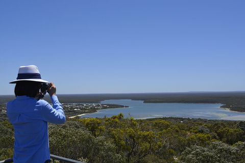 Full-Day Killer Whale Expedition From Albany - Tourism TAS 5