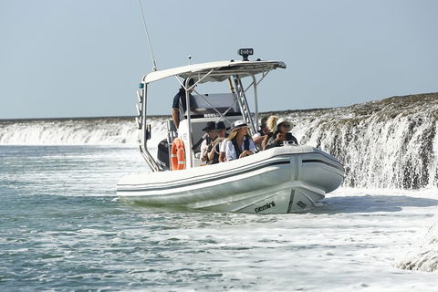 Cygnet Bay Explorer - Tourism TAS 8