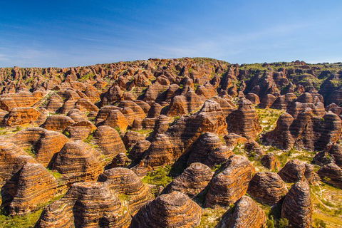 Bungle Bungle Explorer - Tourism TAS 1