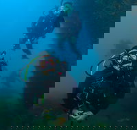 Scuba Dive The Beautiful Rottnest Island - Hobart Tourism