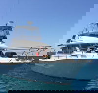 Single Boat Dive - Hobart Tourism