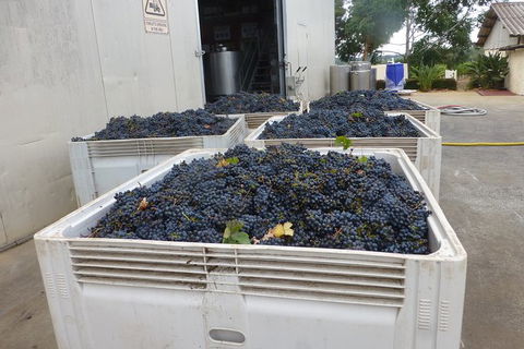 A Taste Of Margaret River Luxury Wine Tour - Tourism TAS 3