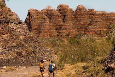 Bungles Day Trek Extended (with Echidna Chasm) - Hobart Tourism 3