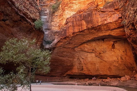 Bungles Day Trek Extended (with Echidna Chasm) - Hobart Tourism 0