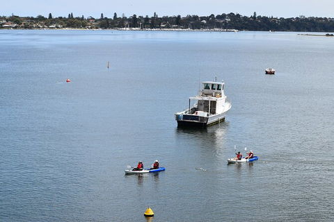 Cliffs And Caves Kayak Tour In Swan River - Hobart Tourism 5