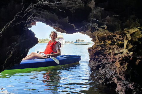 Cliffs And Caves Kayak Tour In Swan River - Hobart Tourism 3