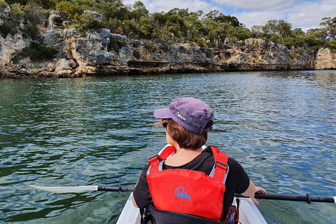 Cliffs And Caves Kayak Tour In Swan River - Hobart Tourism 1