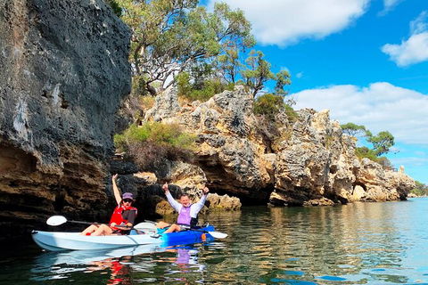 Cliffs And Caves Kayak Tour In Swan River - Hobart Tourism 0