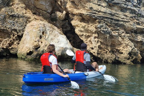 Cliffs And Caves Kayak Tour In Swan River - Hobart Tourism 4
