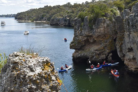 Cliffs And Caves Kayak Tour In Swan River - Hobart Tourism 2