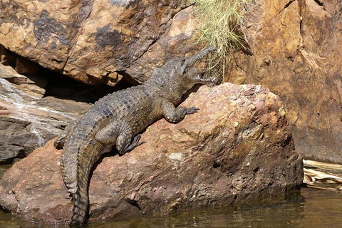 Ord River Experience With Riverside Lunch - Hobart Tourism 2