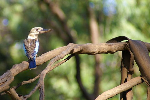 Ord River Experience With Riverside Lunch - Hobart Tourism 1