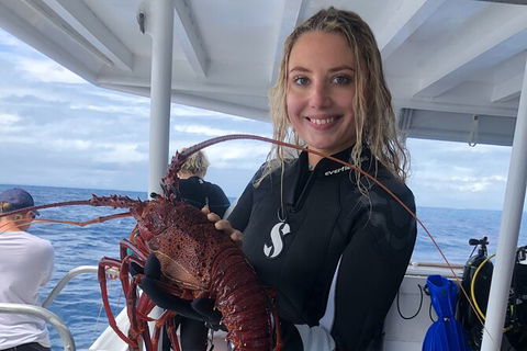Become A PADI Open Water Diver In 3 Days In Perth - Hobart Tourism 5