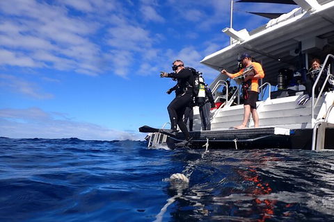Become A PADI Open Water Diver In 3 Days In Perth - Hobart Tourism 0