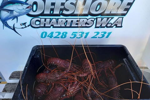 Lobster Fishing Tour At Geraldton - Tourism TAS 0