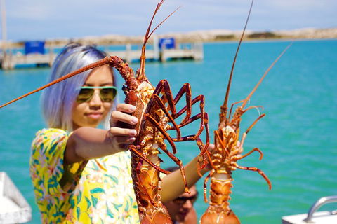 Rock Lobster Pot Pull Tour In Kalbarri - Tourism TAS 0