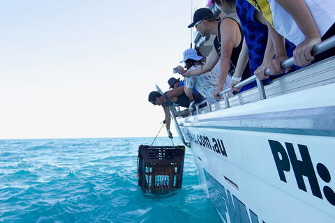 Rock Lobster Pot Pull Tour In Kalbarri - Tourism TAS 5