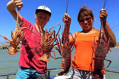 Rock Lobster Pot Pull Tour In Kalbarri - Tourism TAS 6