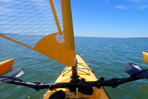 Sailing Kayak Adventure Through The Peel Harvey Estuary - Tourism TAS 2