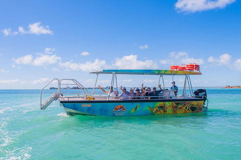 The Island Sandbar Experience - Tourism TAS 5