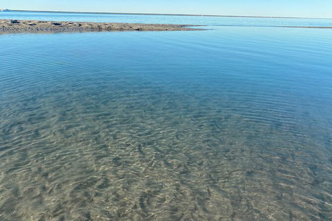 The Island Sandbar Experience - Tourism TAS 4