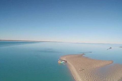 The Island Sandbar Experience - Tourism TAS 6