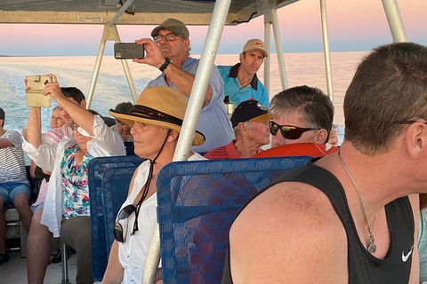 The Island Sandbar Experience - Tourism TAS 3