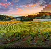 Swan Valley Sunset Wine Tour - Premium Small Group Tour - Tourism TAS