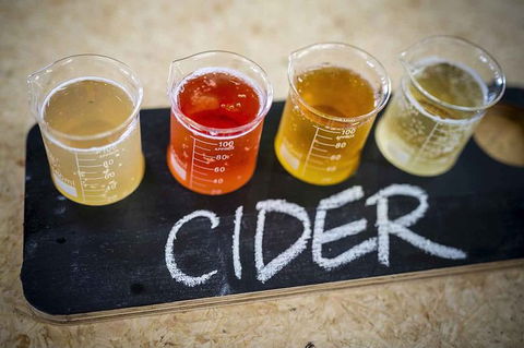 Bickley Valley Wine & Cider Tour - Premium Small Group Tour - Hobart Tourism 1