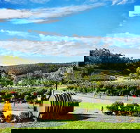 Bickley Valley Wine  Cider Tour - Premium Small Group Tour - Tourism TAS