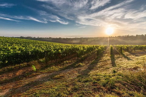 Perth To Margaret River Wine Tour - 2 Day Premium Boutique Wine Tour Experience - Hobart Tourism 0