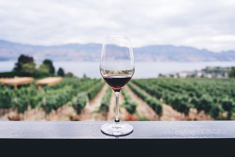 Full-Day Gourmet Wine Tour With Pick Up And Lunch - Hobart Tourism 1