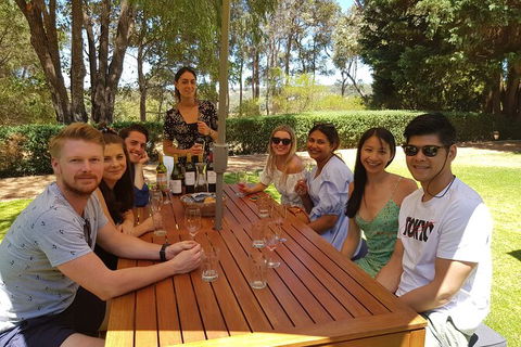 Full-Day Gourmet Wine Tour With Pick Up And Lunch - Hobart Tourism 5