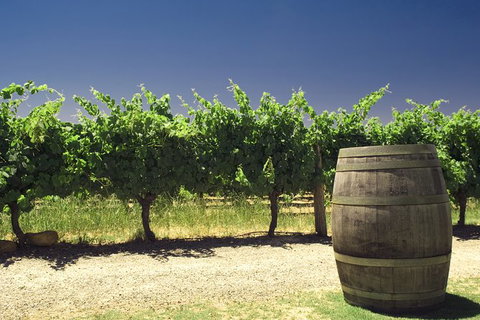 Pinnacles Desert Private Tour - Tourism TAS 4