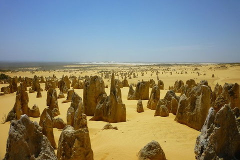 Pinnacles Desert Private Tour - Tourism TAS 5