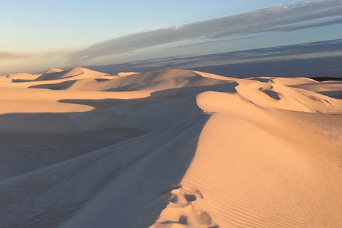 Pinnacles Desert Private Tour - Tourism TAS 2