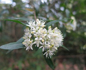 Bamarang NSW Hobart Tourism