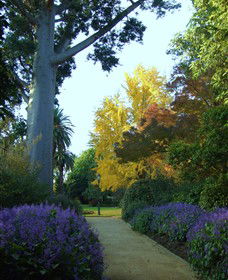 Albury NSW Hobart Tourism