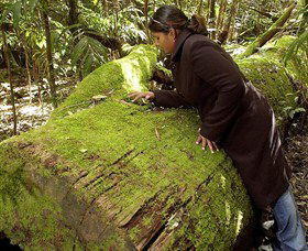  Tourism TAS