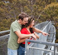 Valley of the Giants Tree Top Walk - Tourism TAS