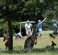 Glen Innes Golf Club - Tourism TAS